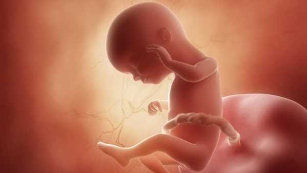 سلامت و رشد جنین