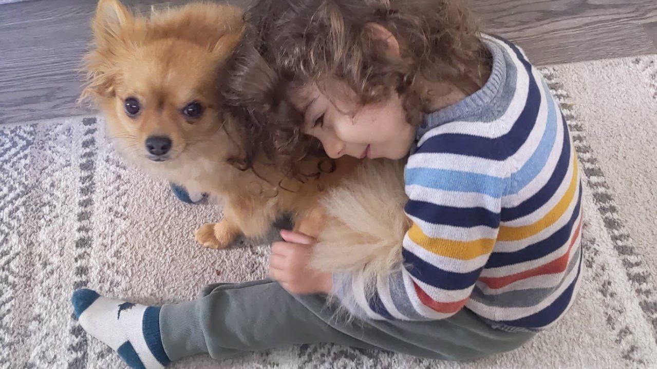 گاز سگ: چطور برخورد با سگ‌ها را به کودکان یاد بدهیم؟