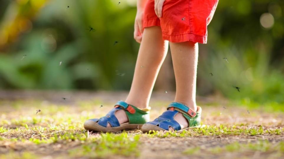 تست ایمنی کودک: کدام نوع اسپری‌ دافع حشرات برای کودک بی‌خطر است؟
