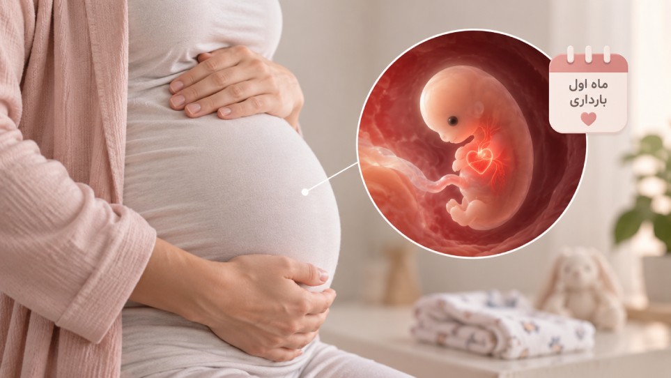آیا جنین یک ماهه قلب دارد؟