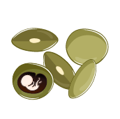 هفته 6