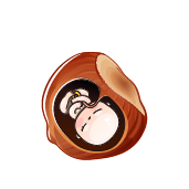 هفته 8