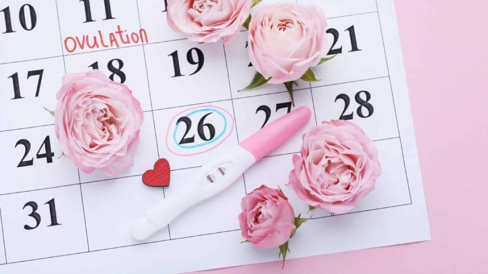 5 روش برای تعیین روز تخمک گذاری