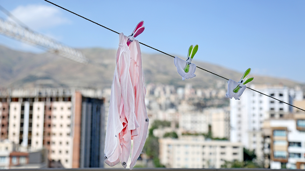 چگونه خانهٔ خود را از شپش پاک کنید
