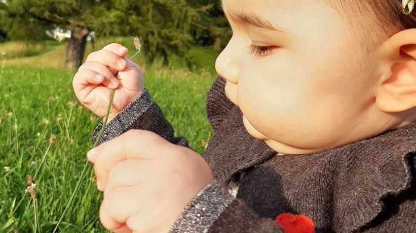 استشمام بوی گل‌ها برای تحریک حس بویایی نوزاد